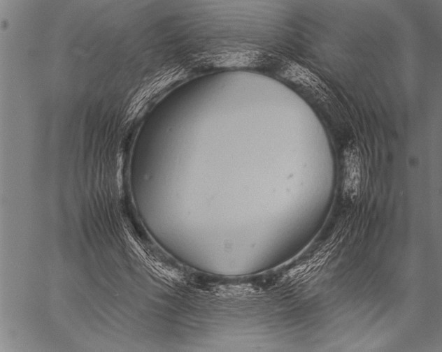 X0000057100586200509301619