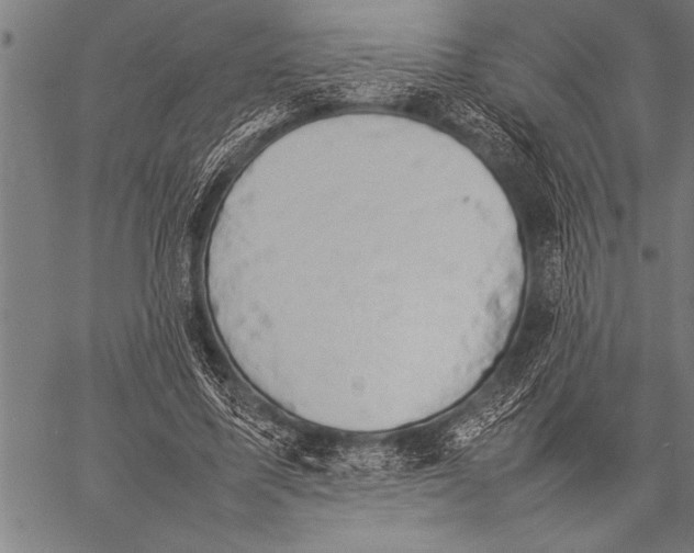 X0000057100587200509301619