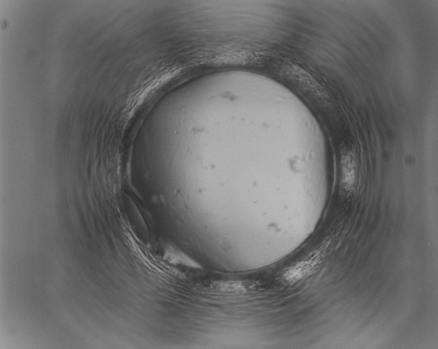 X0000057100588200509301619