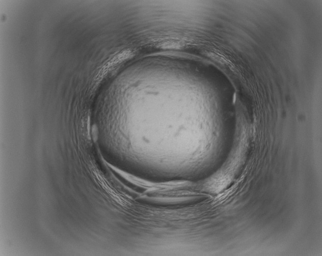 X0000057100589200509301619