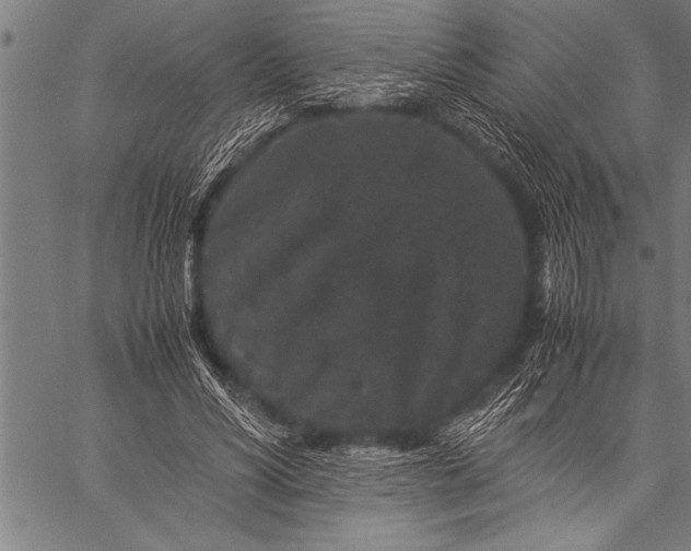 X0000057100590200509301619