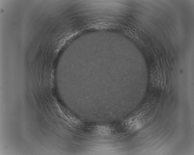 X0000057100592200509301619