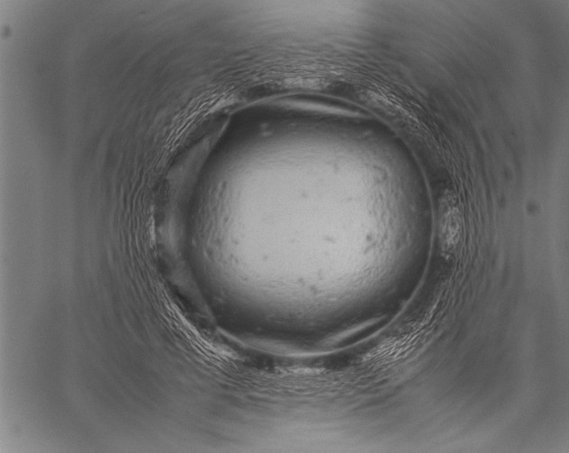 X0000057100593200509301619