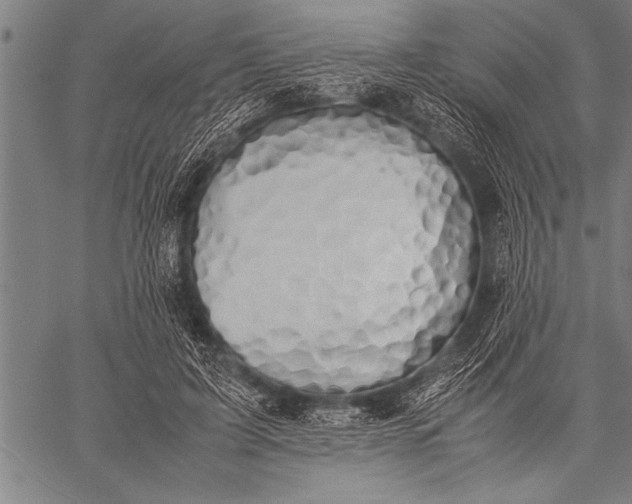 X0000057100595200509301619