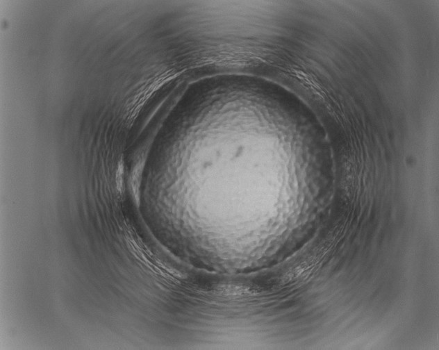 X0000057100596200509301619