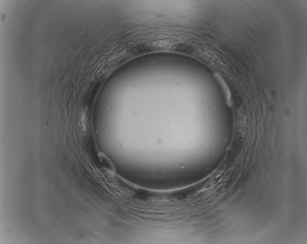 X0000057100597200509301619