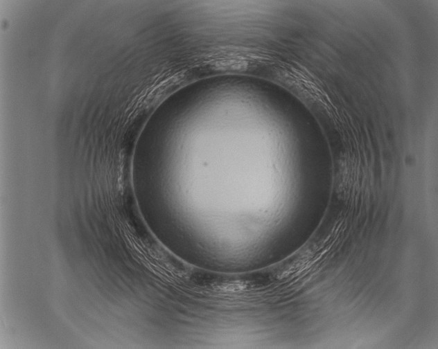 X0000057100600200509301619