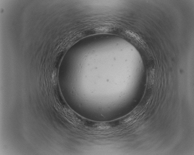 X0000057100601200509301619