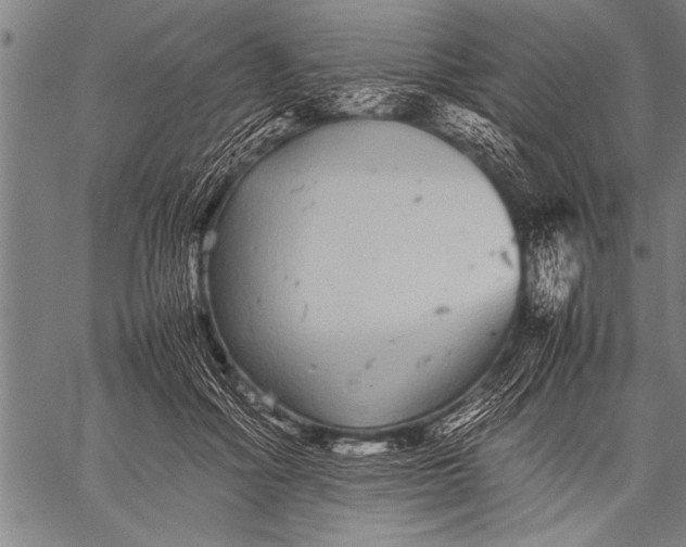 X0000057100602200509301619