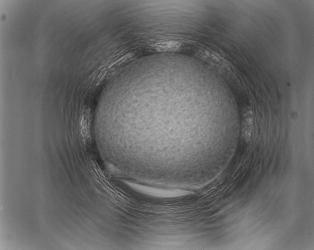 X0000057100604200509301619