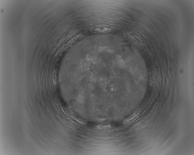 X0000057100606200509301619