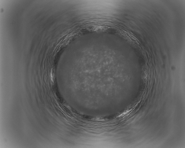 X0000057100607200509301619