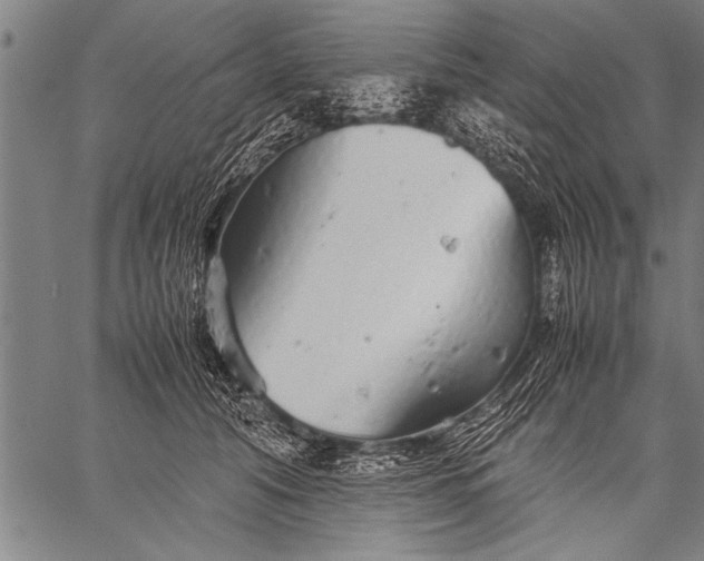 X0000057100608200509301619