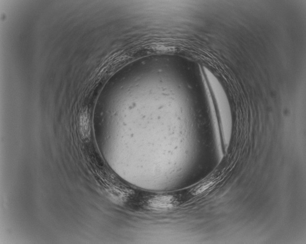 X0000057100609200509301619