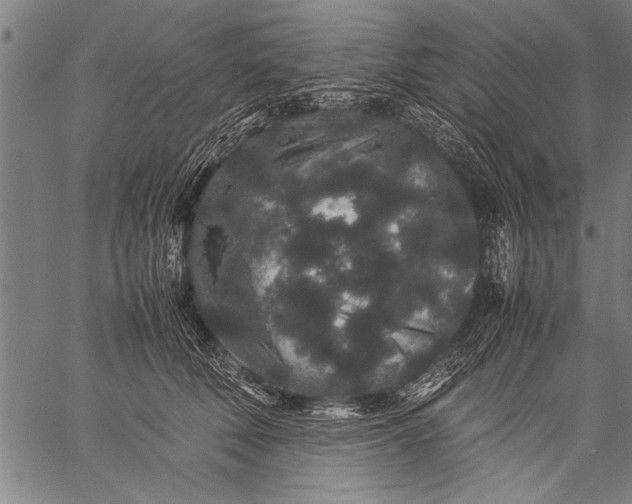 X0000057100610200509301619