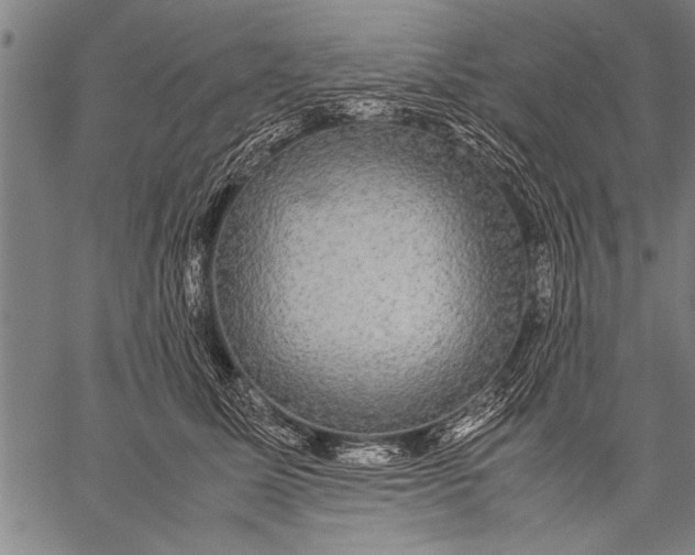 X0000057100611200509301619