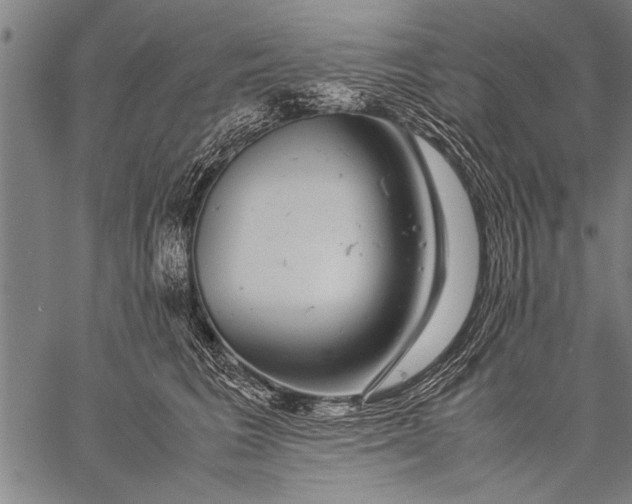 X0000057100613200509301618