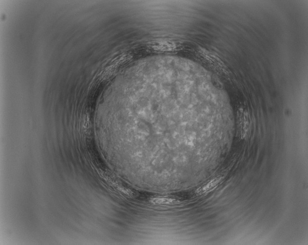 X0000057100614200509301618