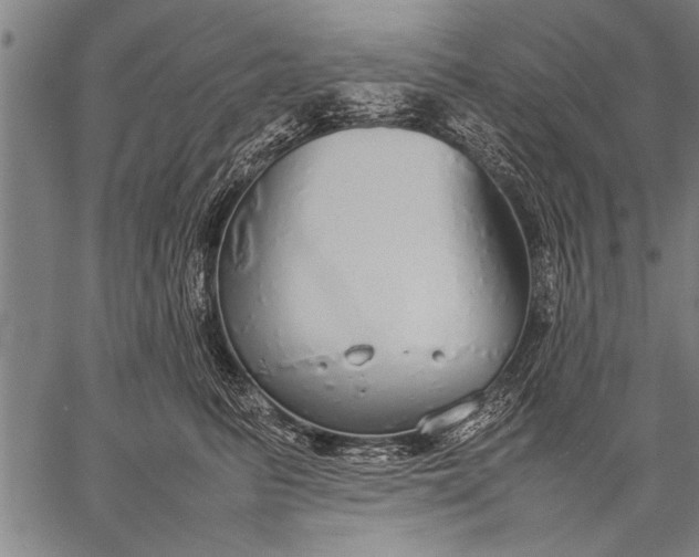 X0000057100615200509301618