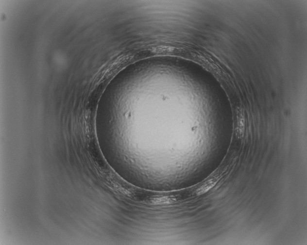 X0000057100616200509301618