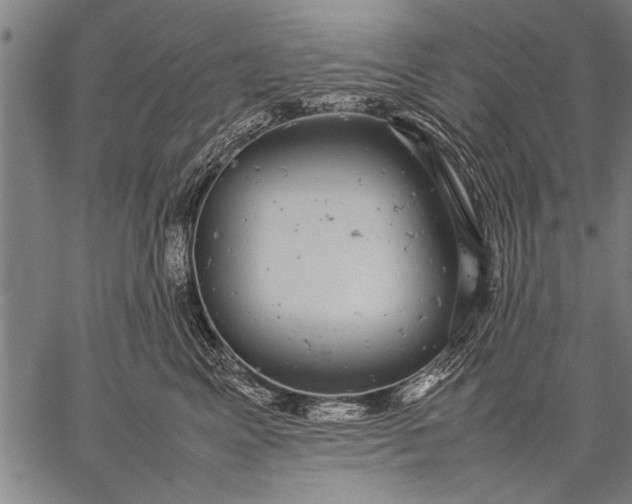 X0000057100617200509301618