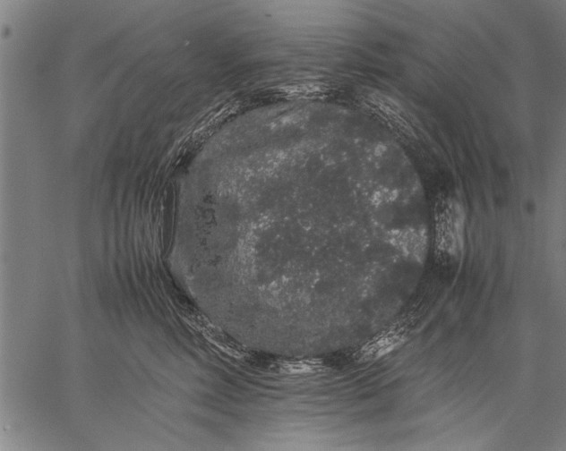 X0000057100618200509301618