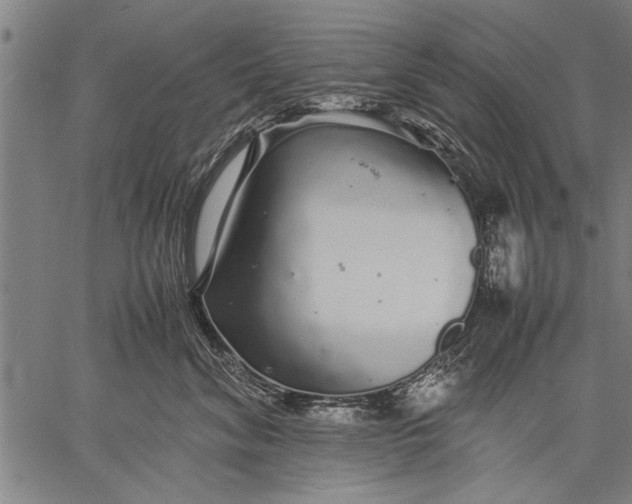 X0000057100620200509301618