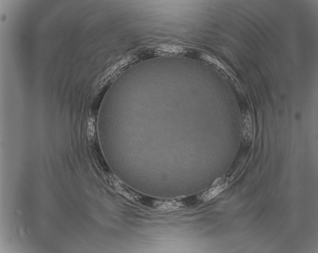 X0000057100621200509301618