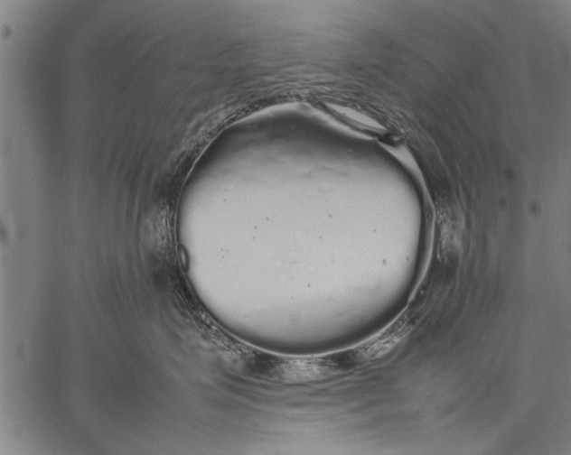 X0000057100623200509301618