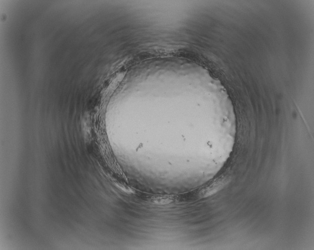 X0000057100624200509301618