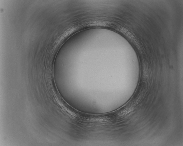 X0000057100625200509301618