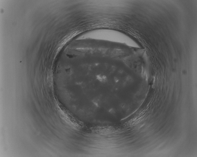 X0000057100626200509301618