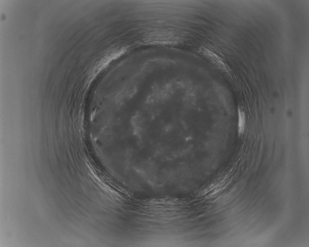 X0000057100627200509301618