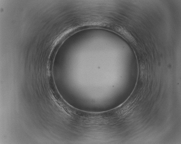 X0000057100628200509301618