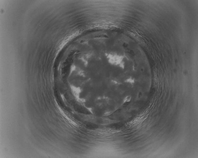 X0000057100630200509301618