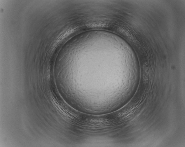 X0000057100631200509301618