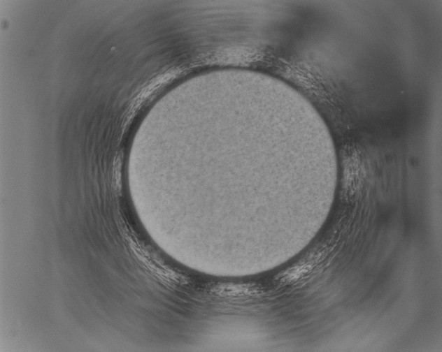 X0000057100632200509301618