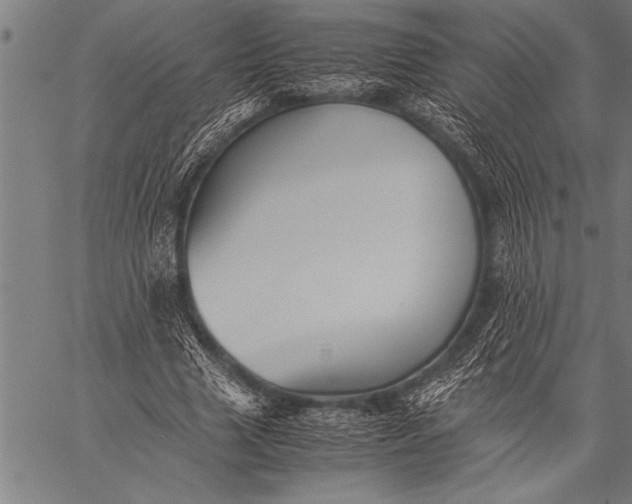 X0000057100633200509301618