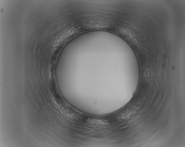 X0000057100635200509301618