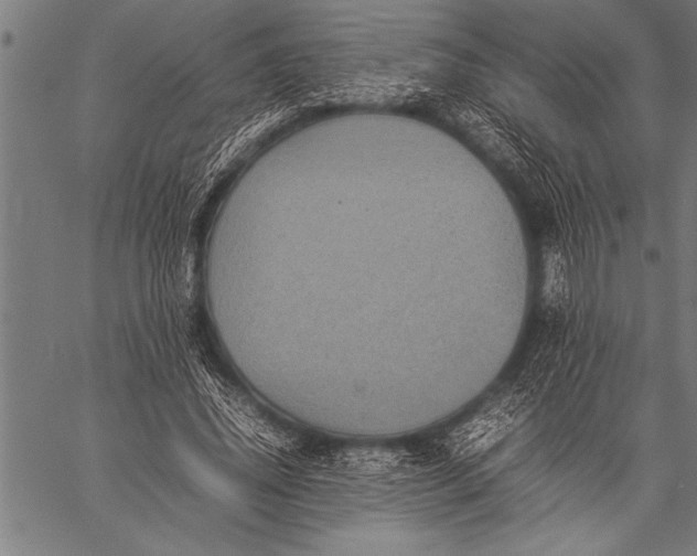 X0000057100636200509301618