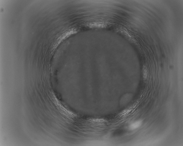 X0000057100637200509301618