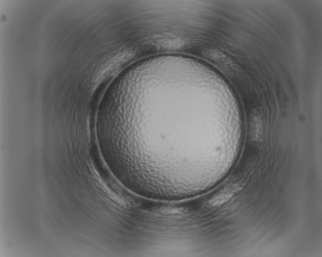 X0000057100638200509301618