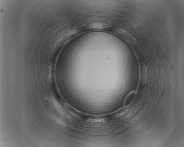 X0000057100639200509301618