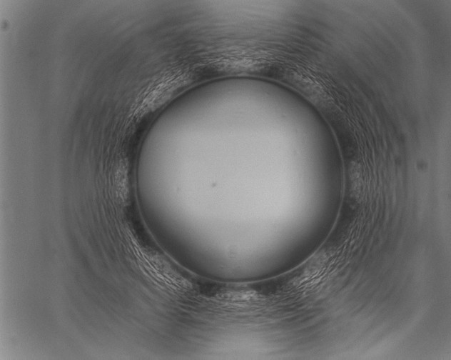 X0000057100642200509301618