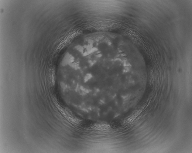 X0000057100644200509301618