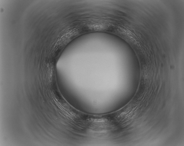 X0000057100645200509301618