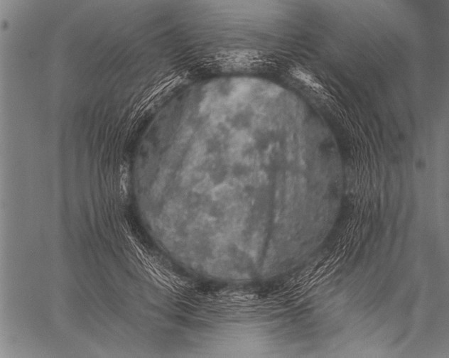 X0000057100648200509301618