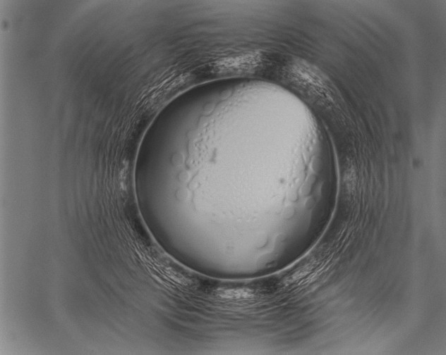 X0000057100649200509301618