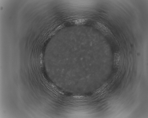 X0000057100650200509301618