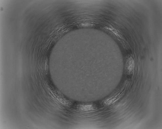 X0000057100651200509301618